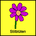 Stilblüten