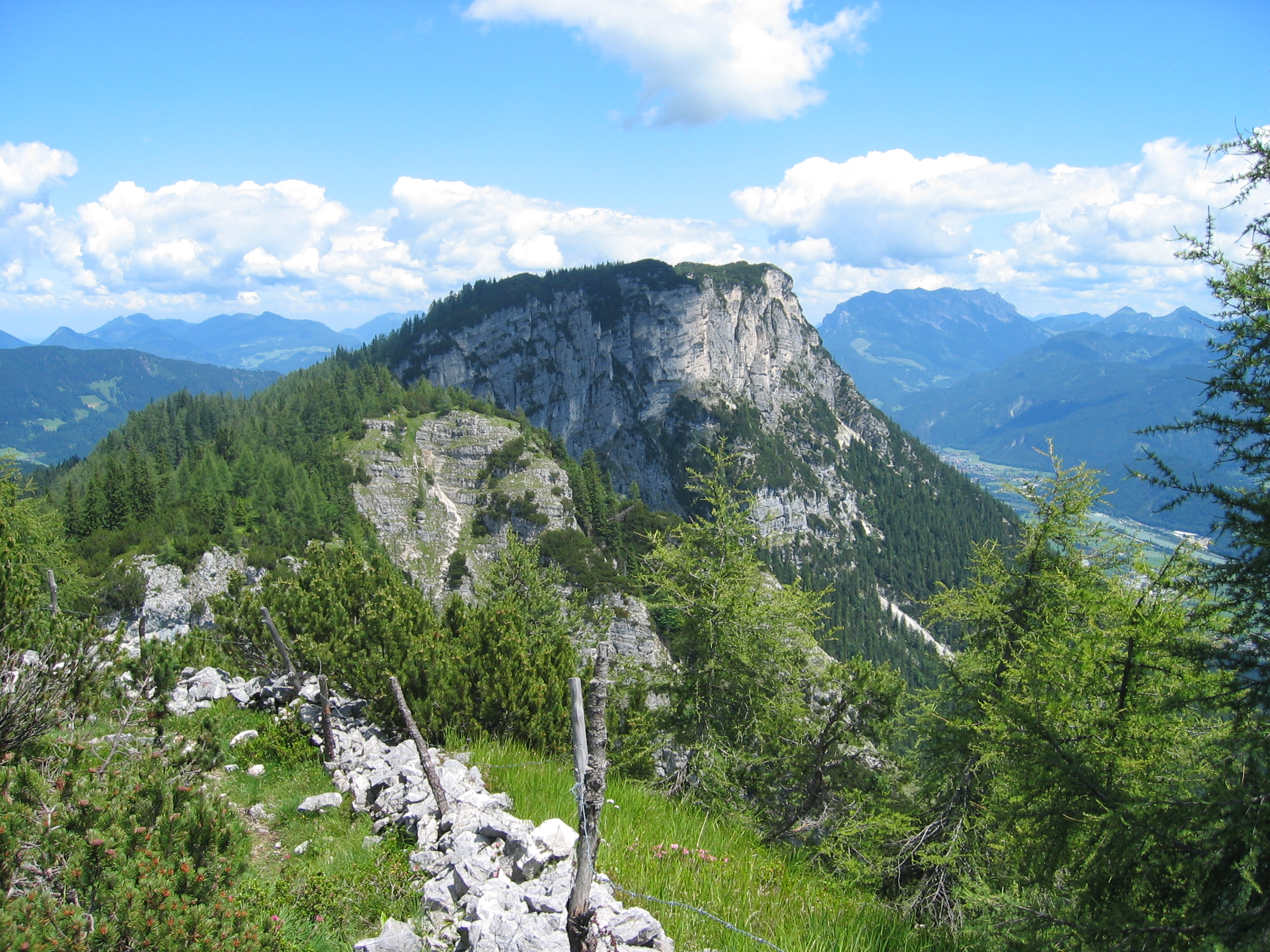 K&ouml;glh&ouml;rndl