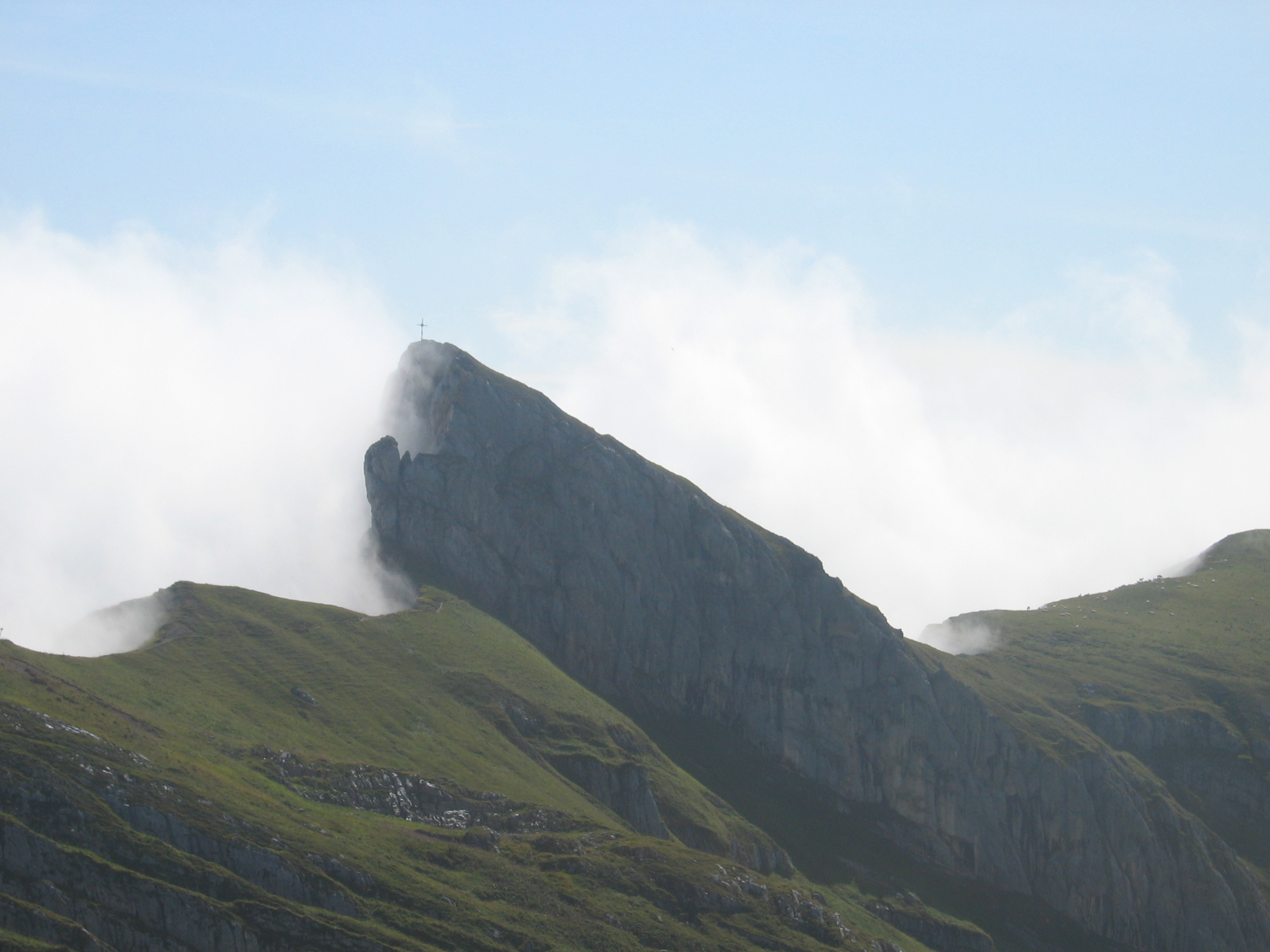 R&uuml;ckblick zum Sagzahn