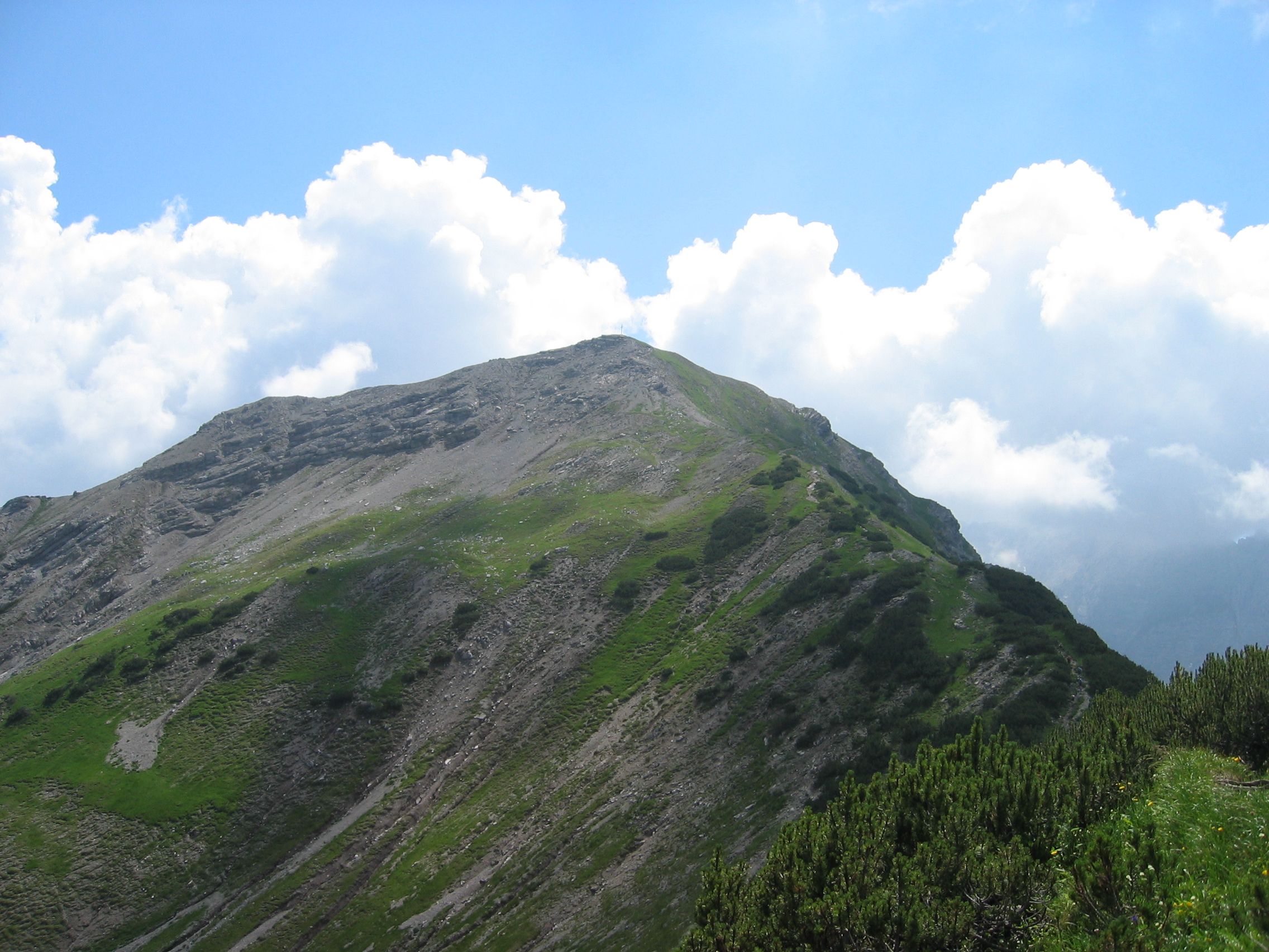 Nicht mehr weit zum Hahnkampl