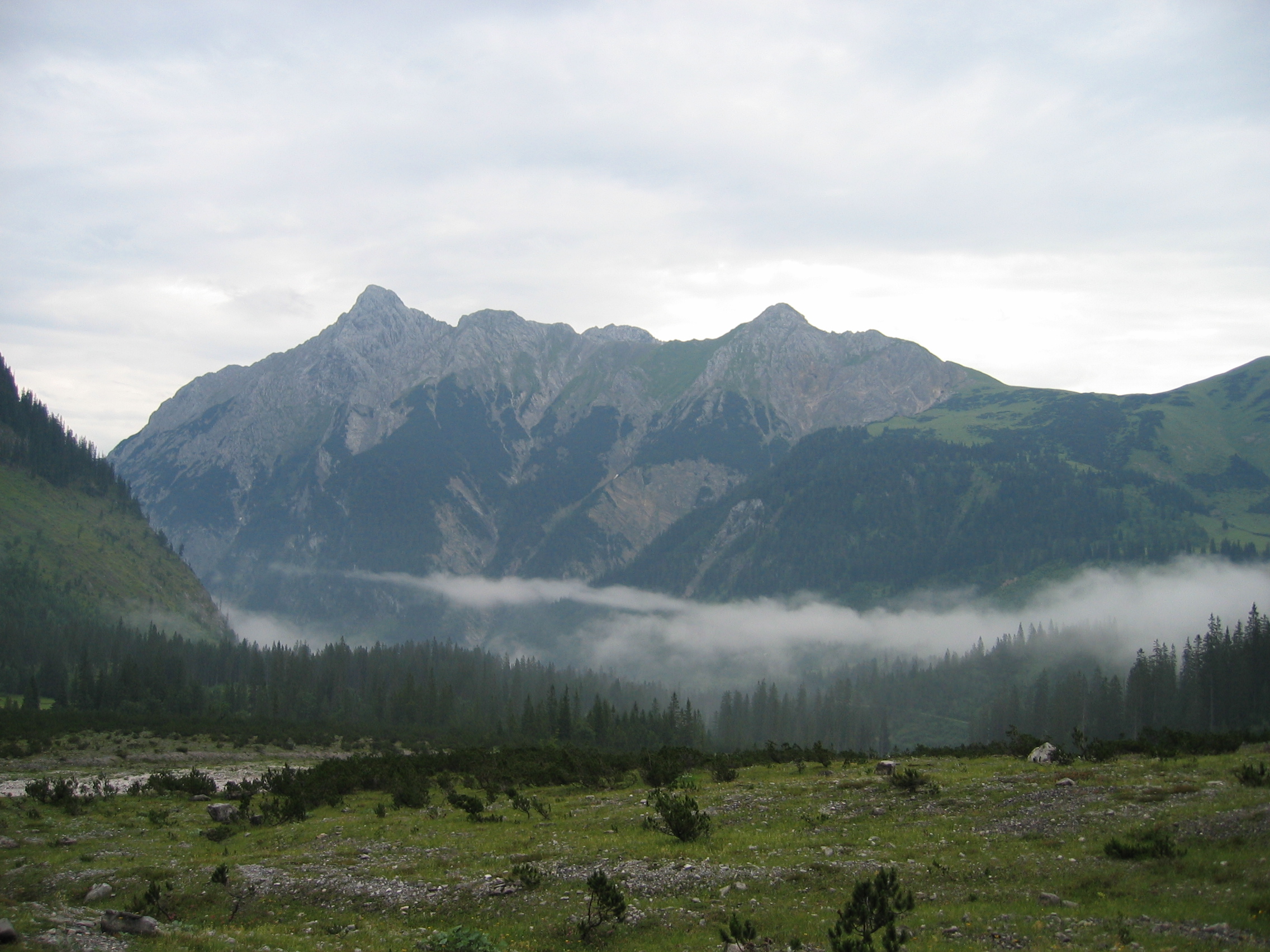 Risser Falk und Steinfalk