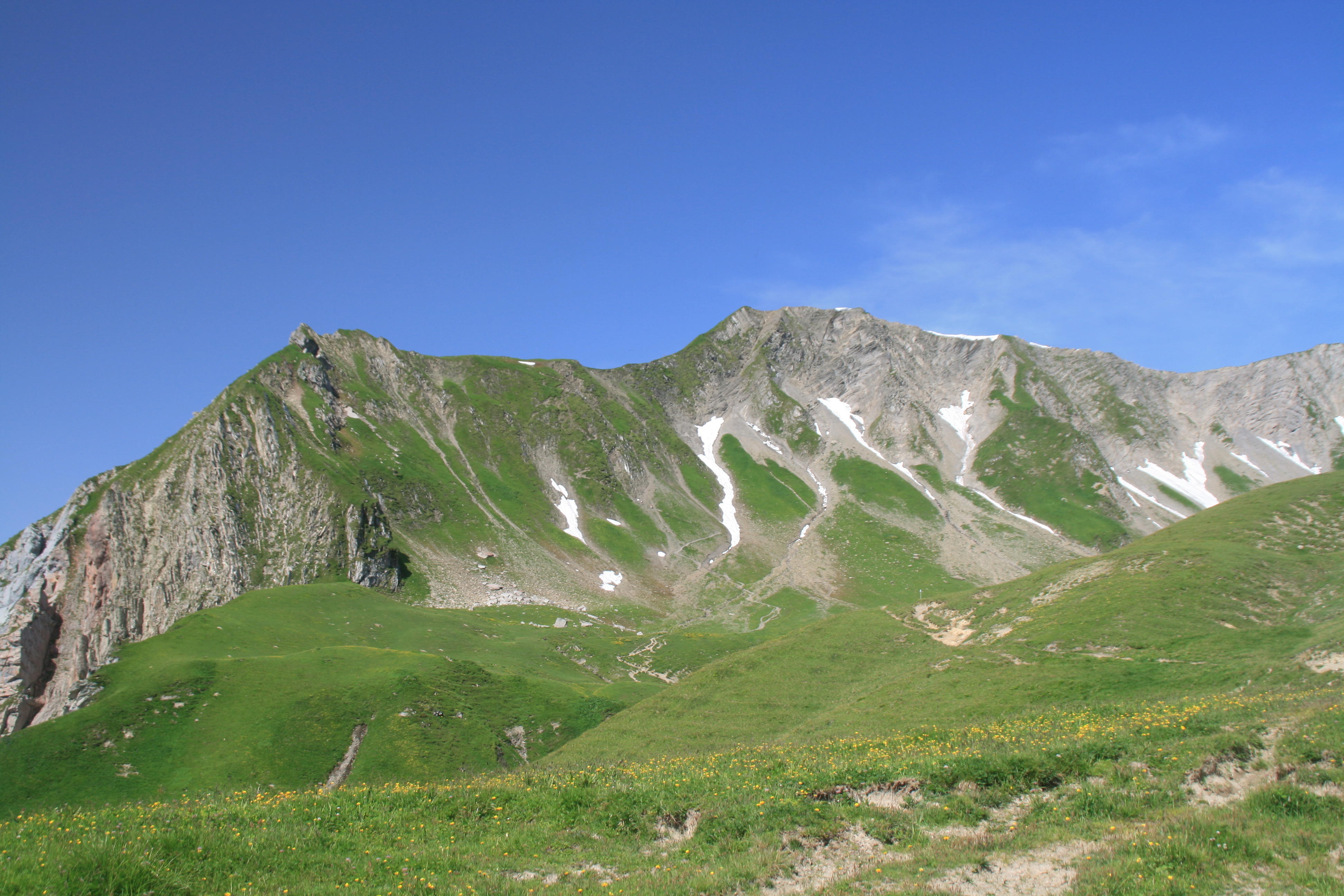 Steiler Grashang voraus