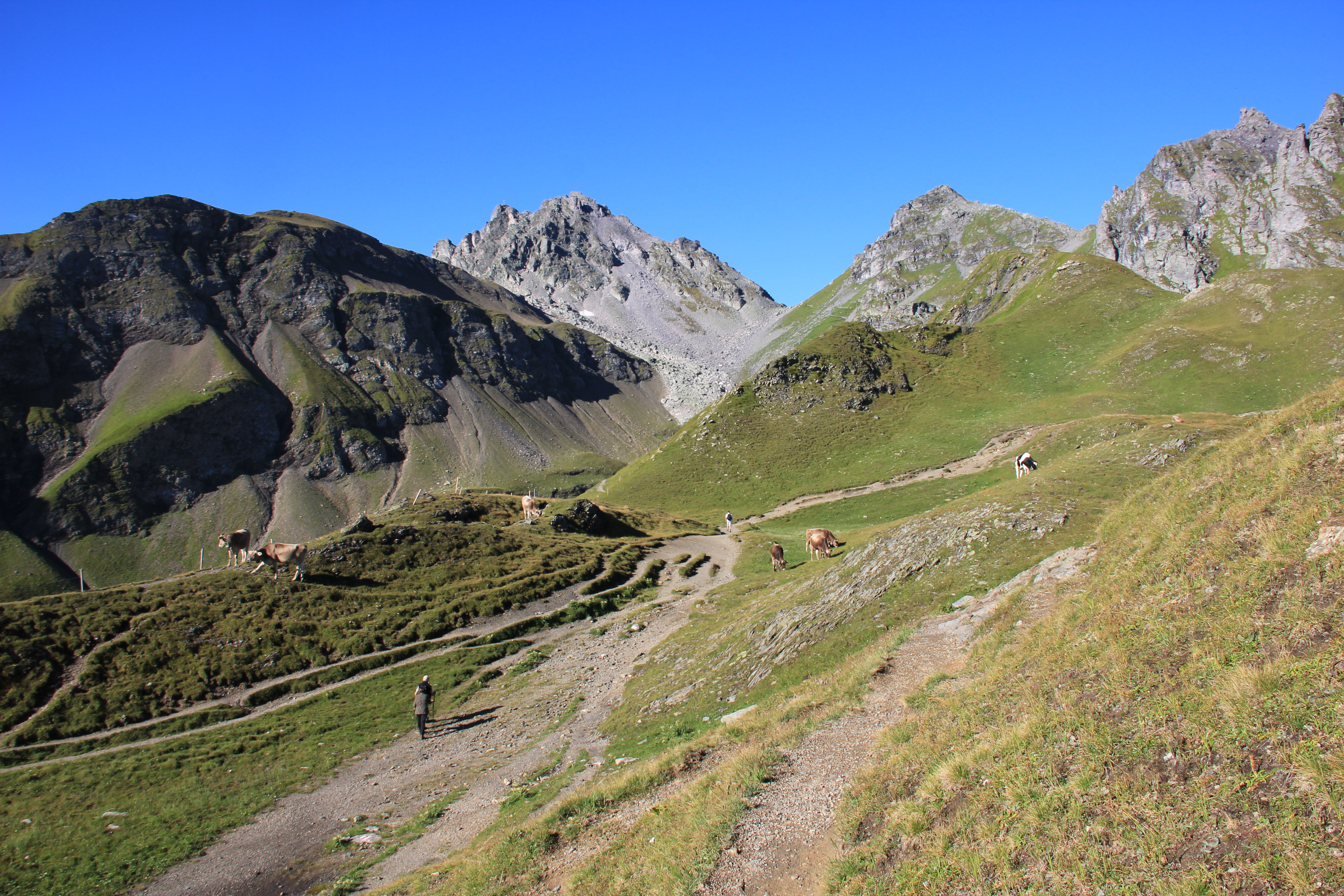 Start an der Pizolhütte