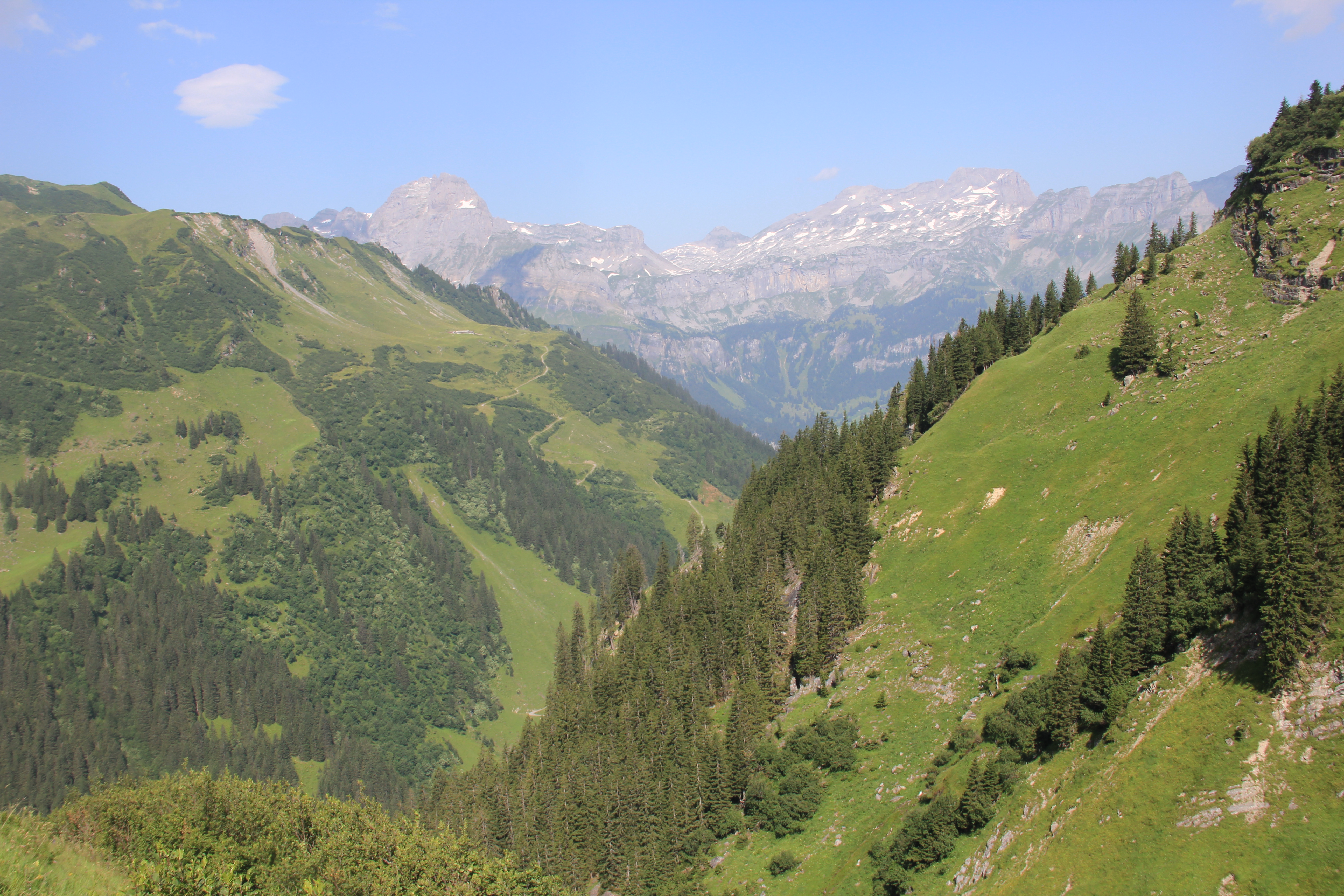 Im Abstieg vom Richetlipass