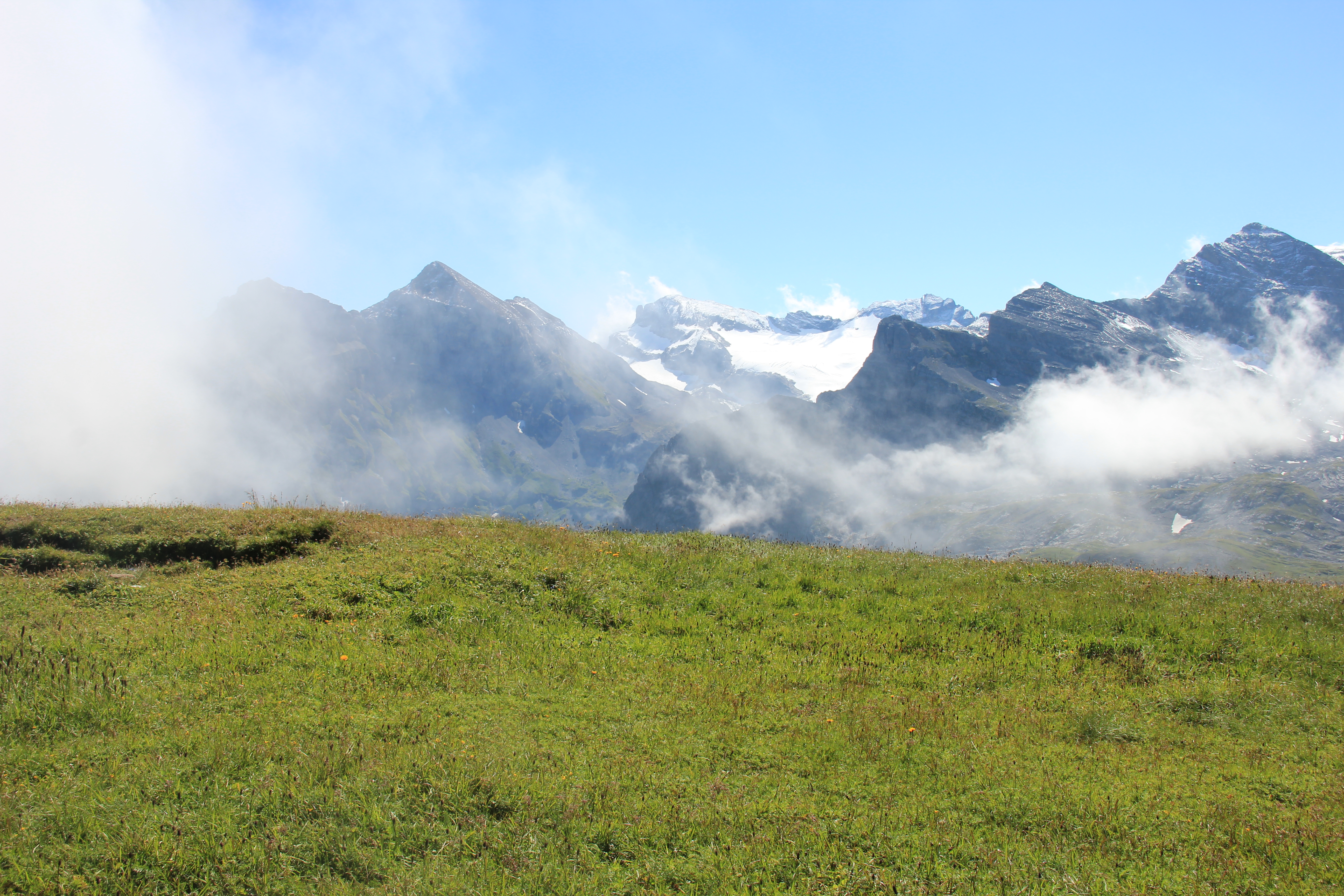 Gipfelwiese, Rückblick zum Uri Rotstock