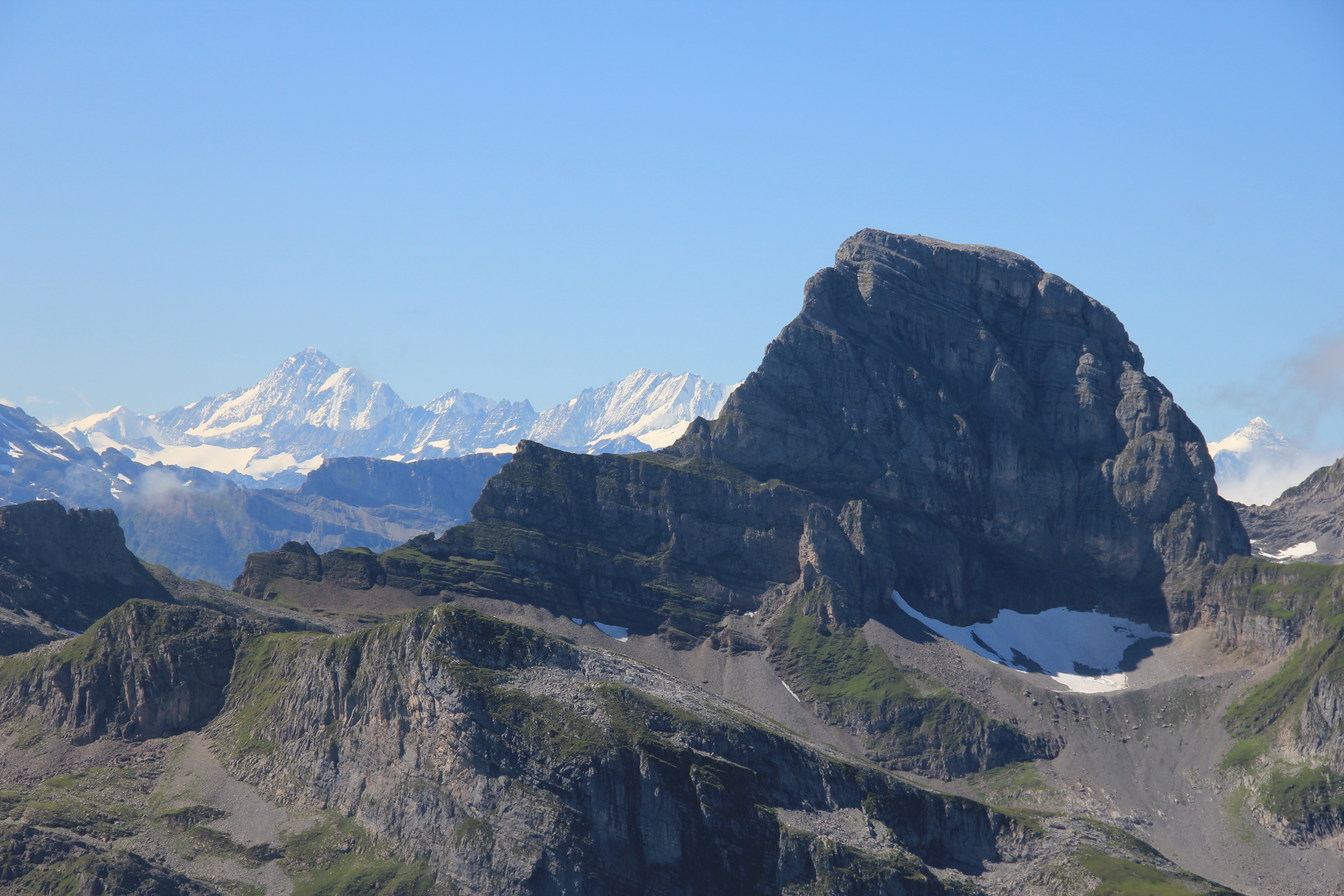 Finsteraarhorn, Grosser Sättelistock