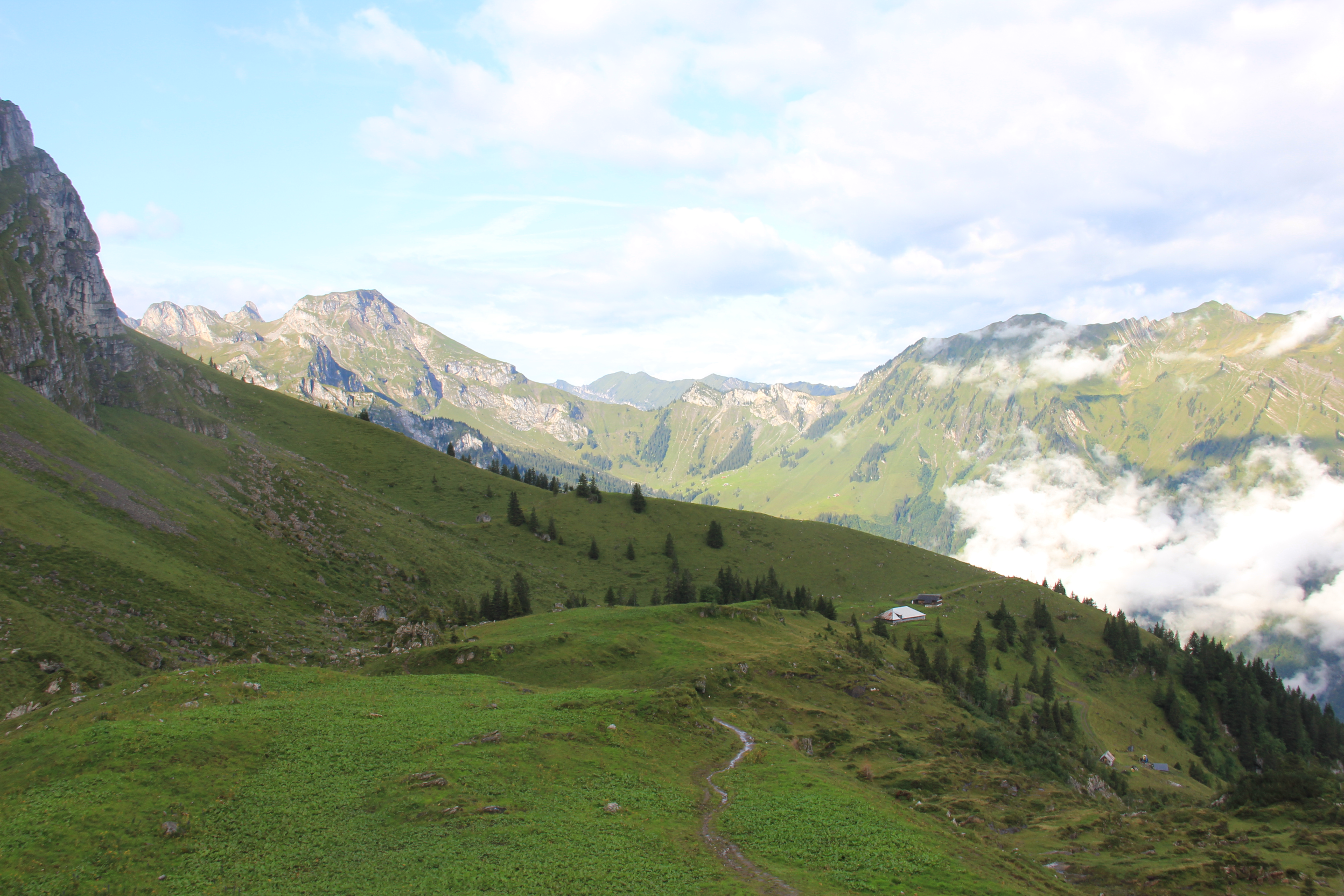 Abstieg zur Walenalp