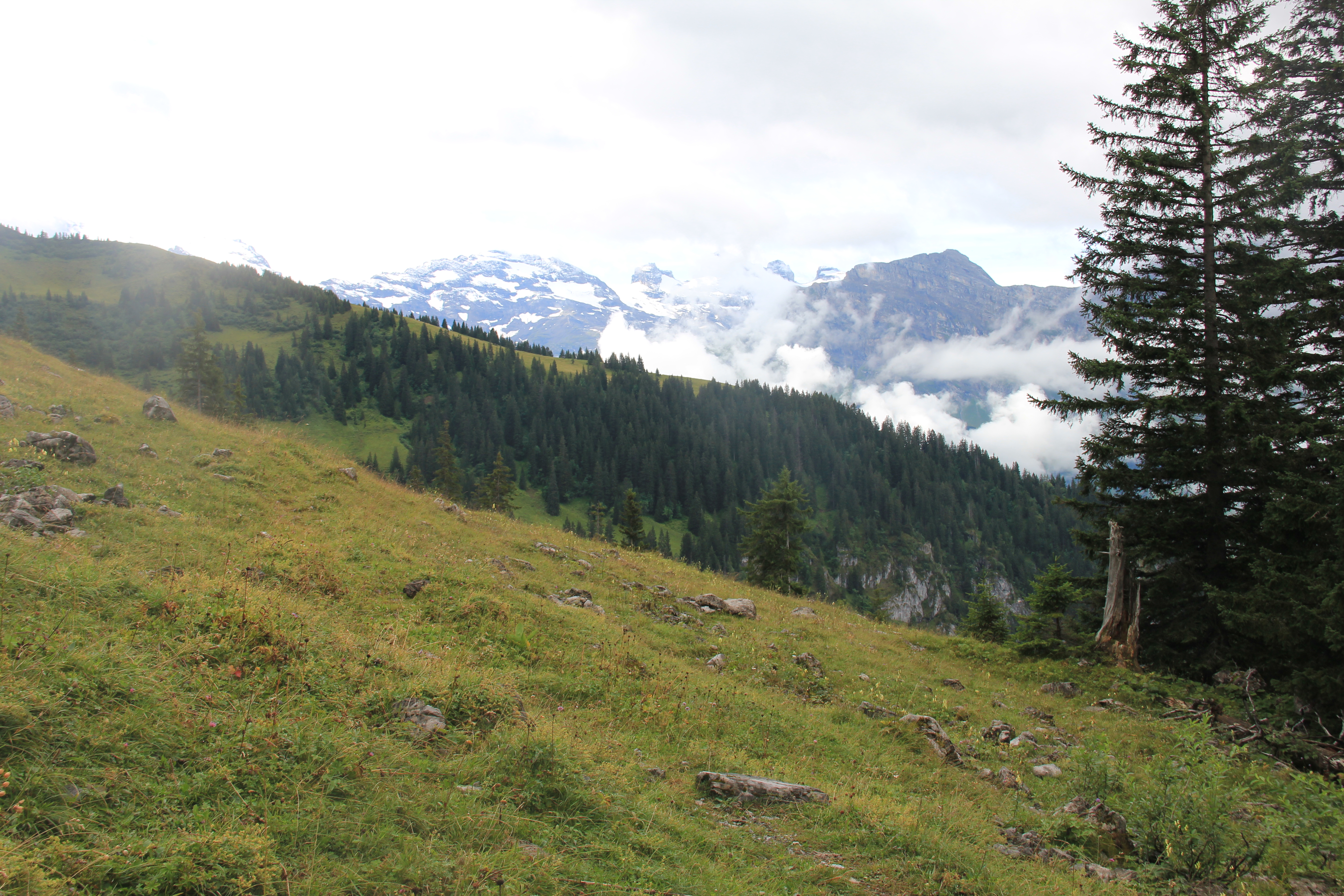 Titlis und andere Dreitausender sind nur zu ahnen.