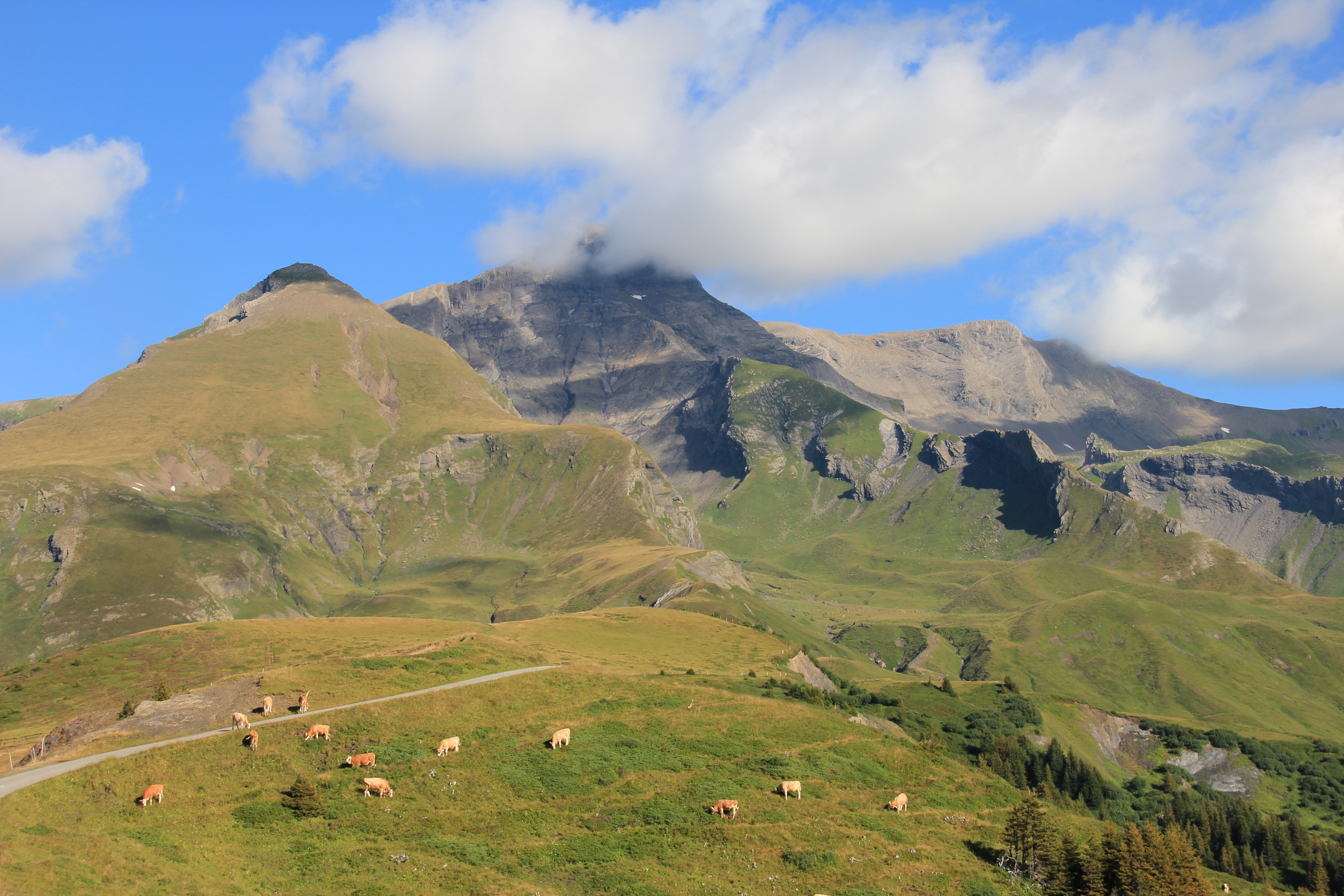 Grosse Scheidegg, Blick zum Schwarzhorn