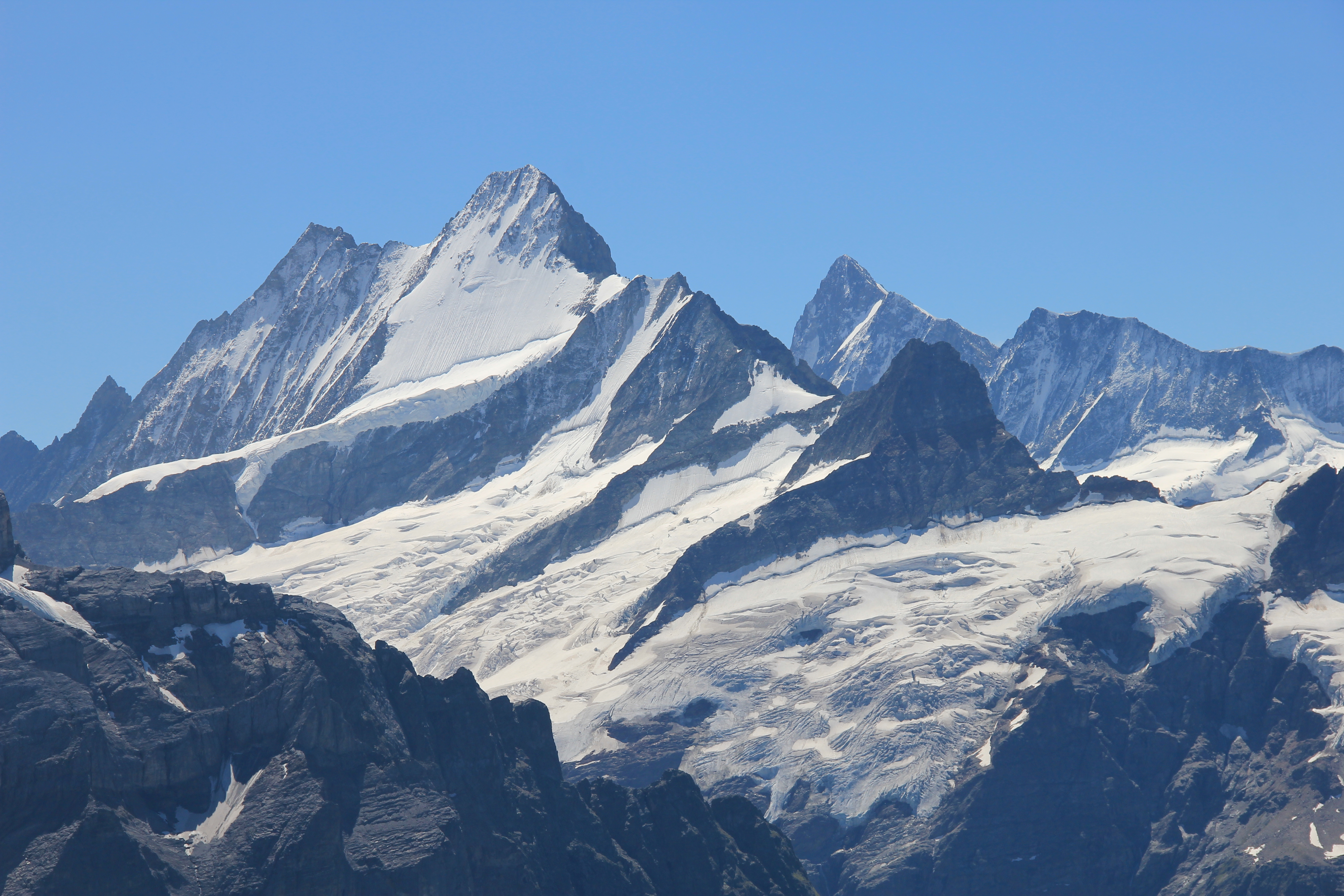 Lauteraarhorn, Schreckhorn, Finsteraarhorn (Zoom)
