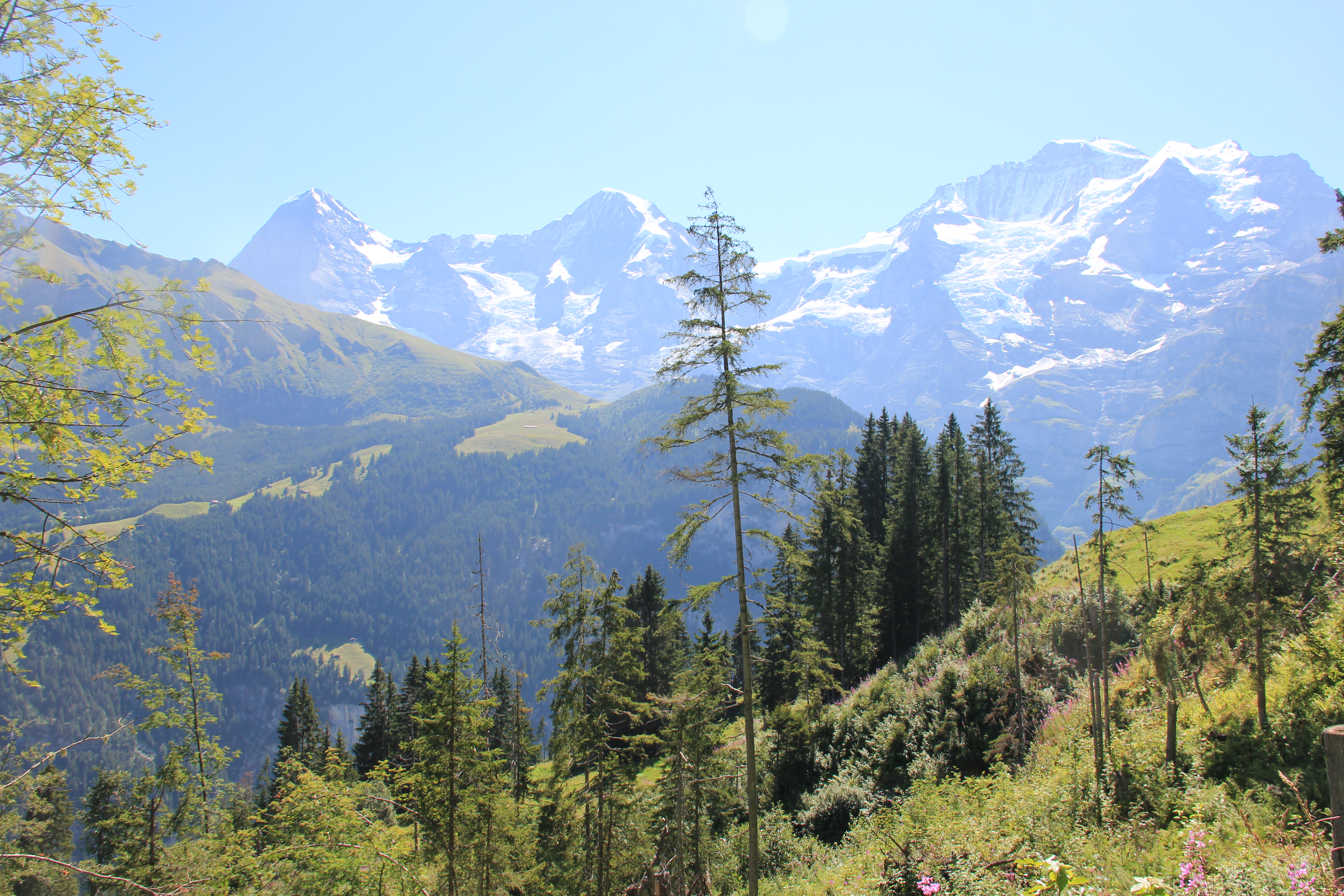 Eiger, Mönch, Jungfrau