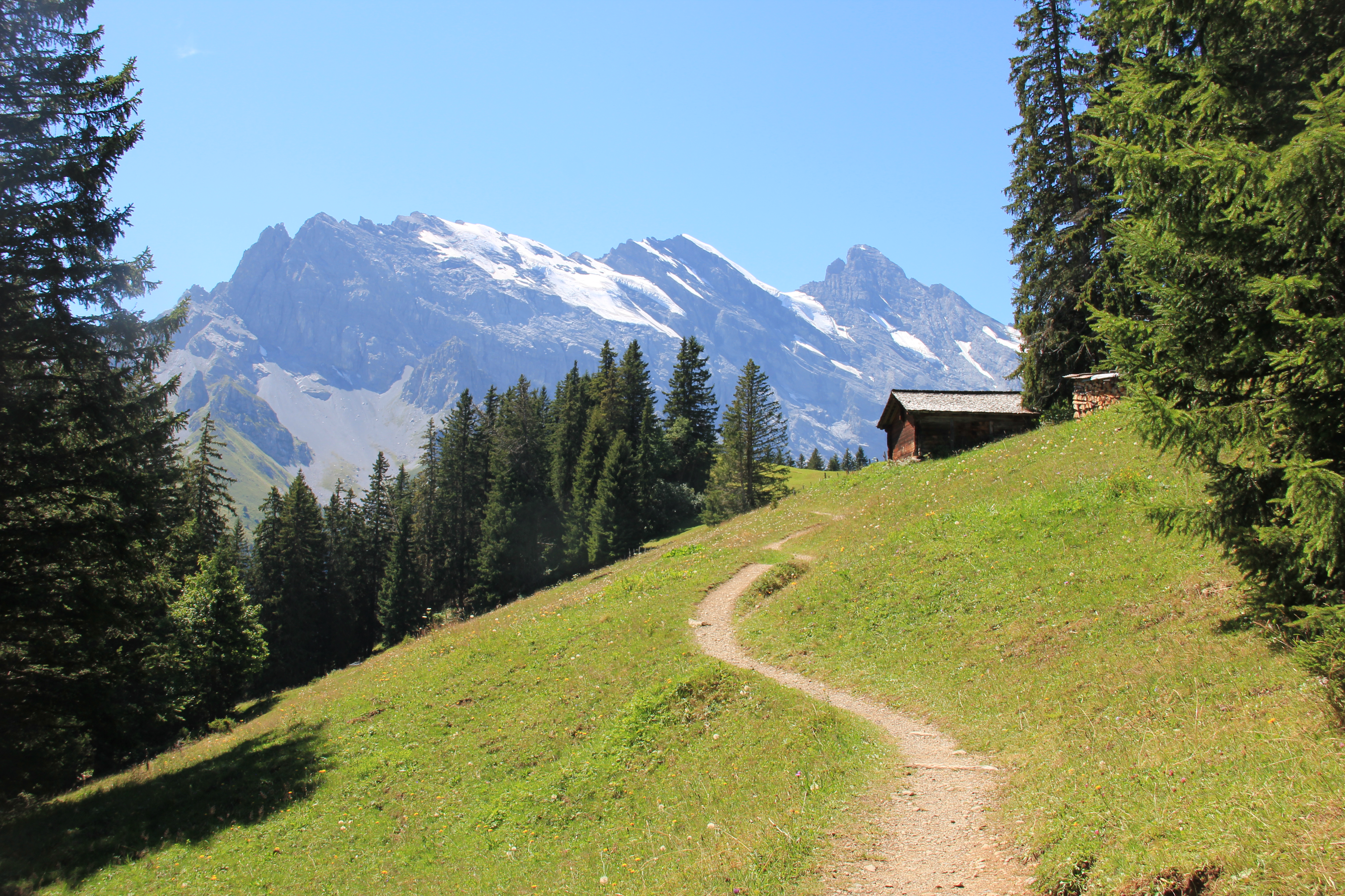 Idyllischer Weg oberhalb von Mürren
