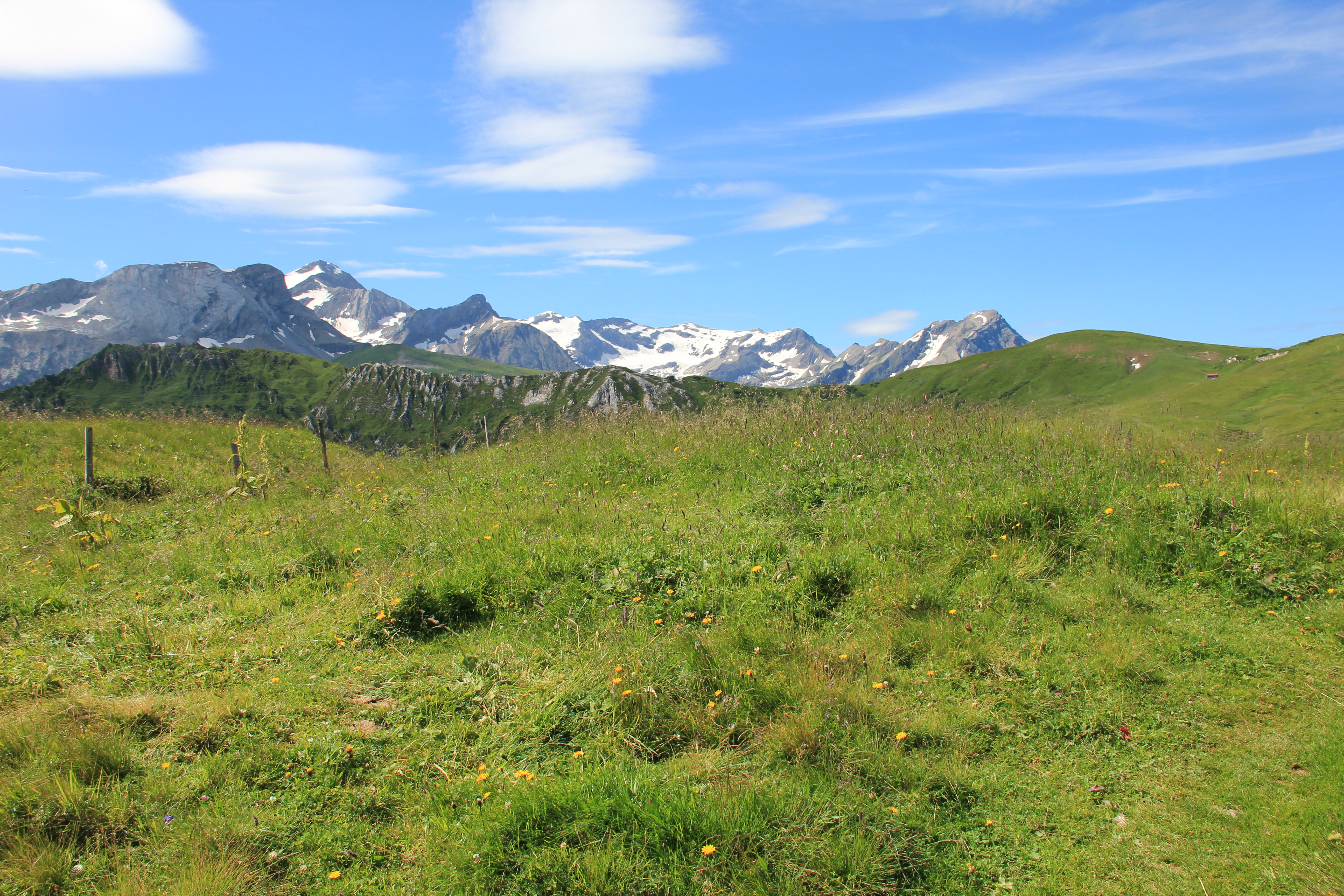 Am Trütlisbergpass