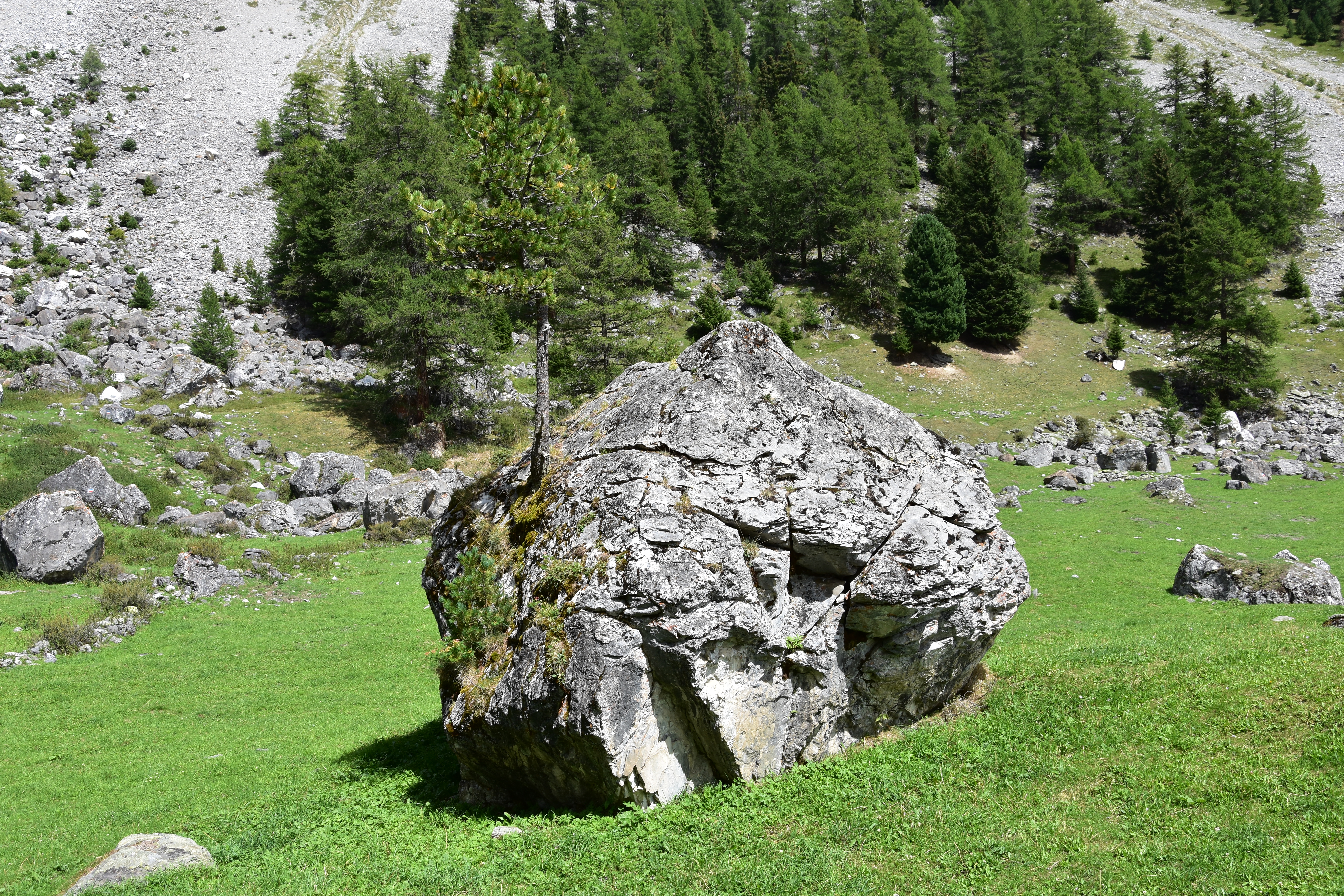 Warum einfach, wenn es auch kompliziert geht?