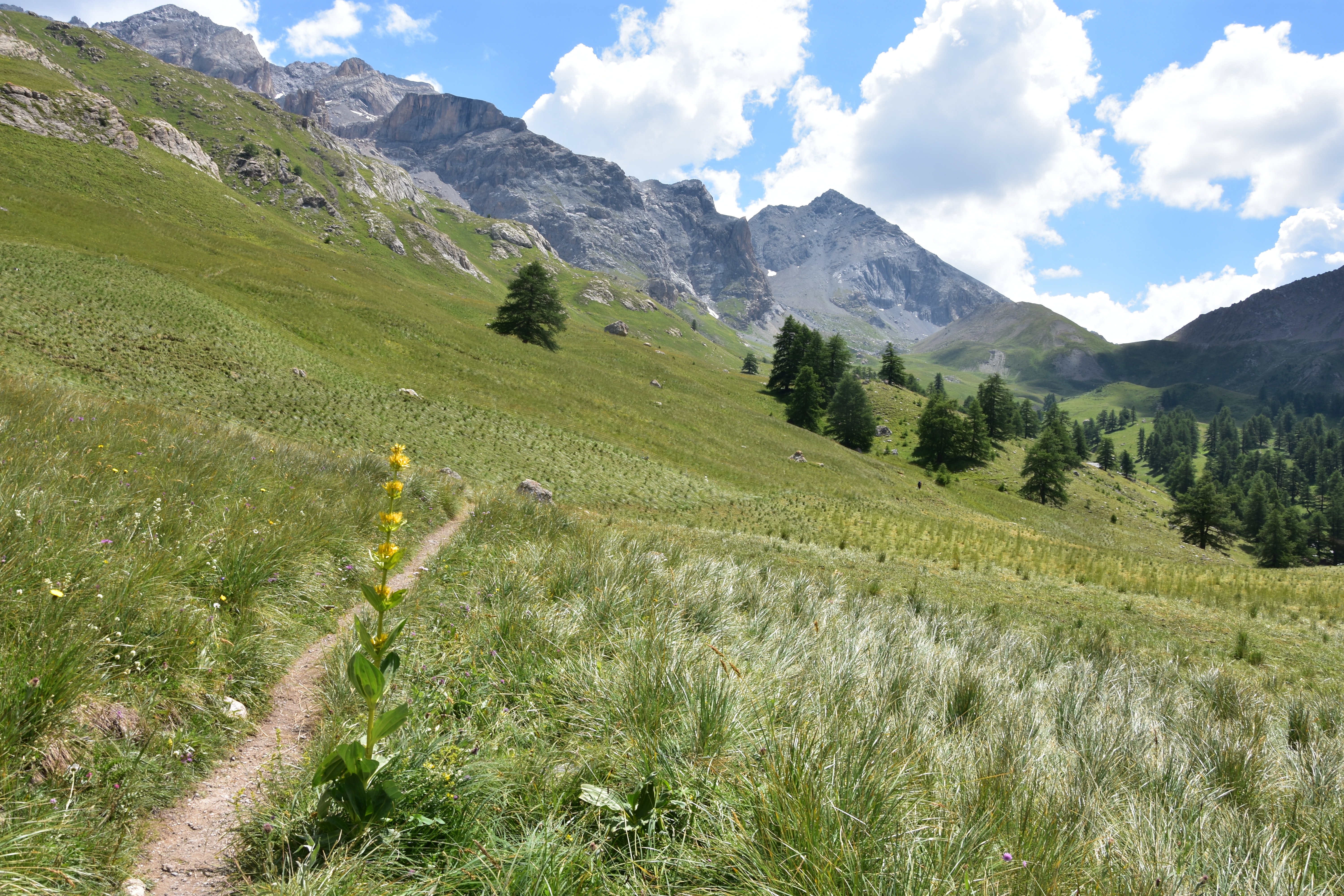 Unterwegs zum Col du Vallonnet