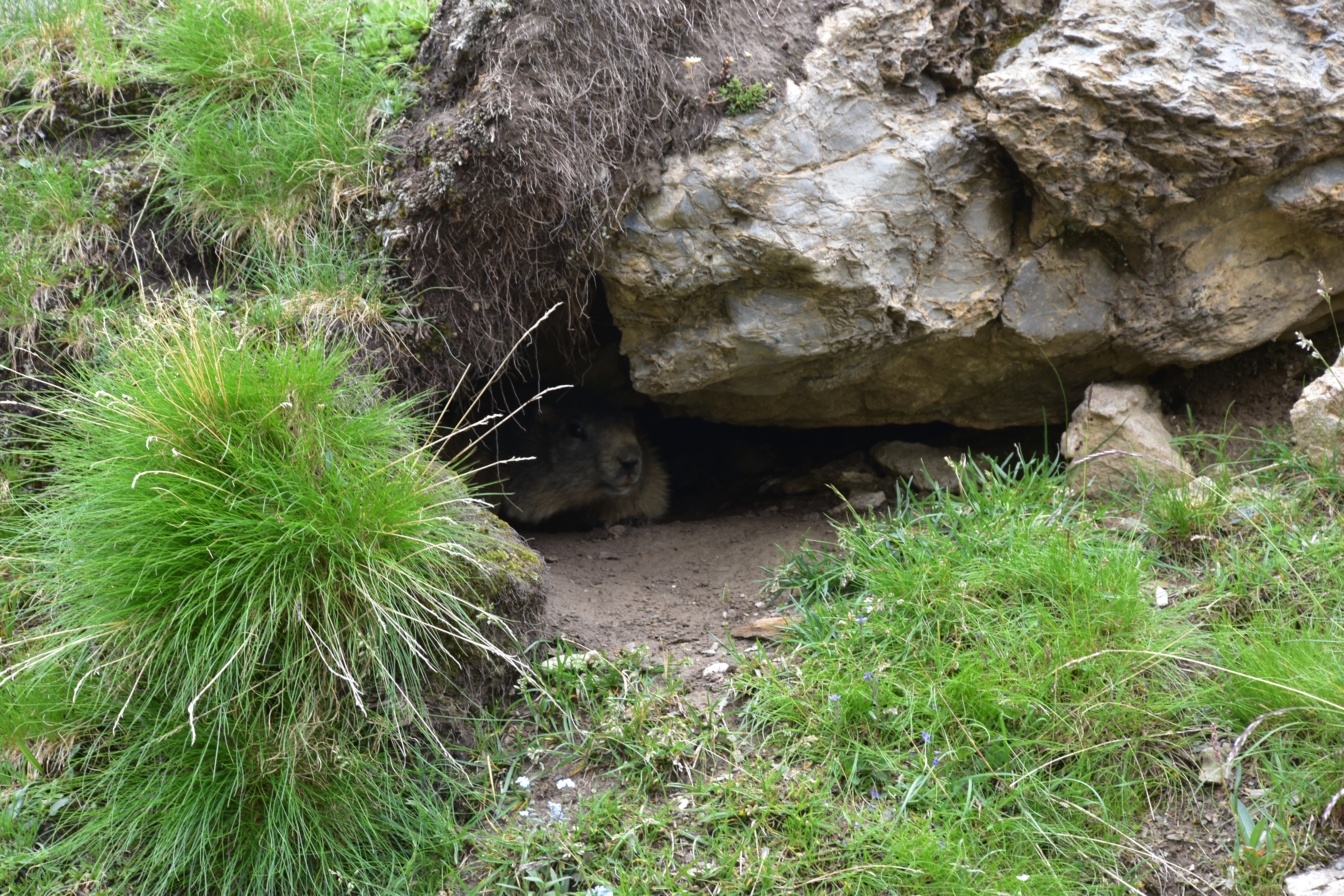 Hier bin ich sicher.