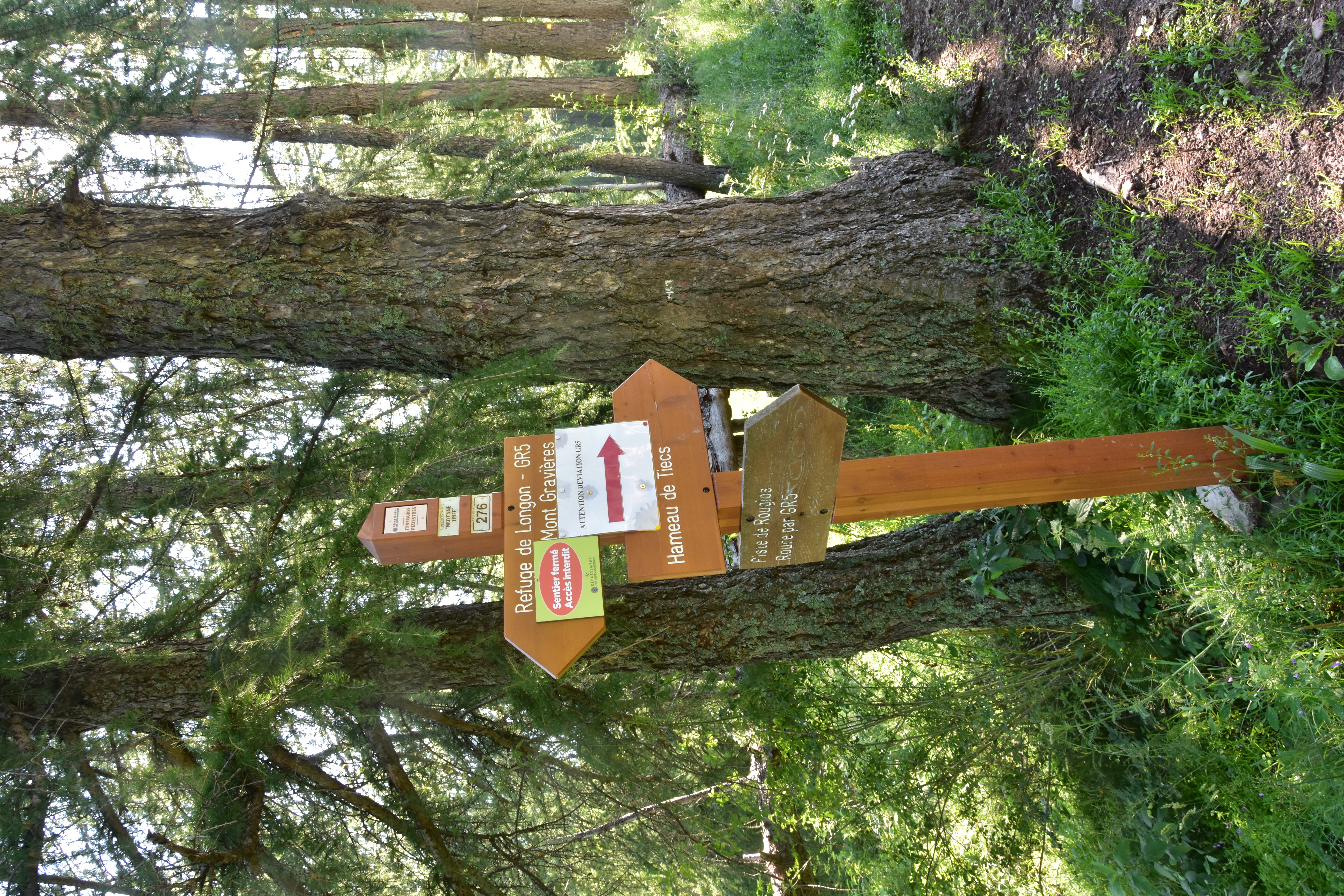 Etwas verwirrende Umleitungsbeschilderung