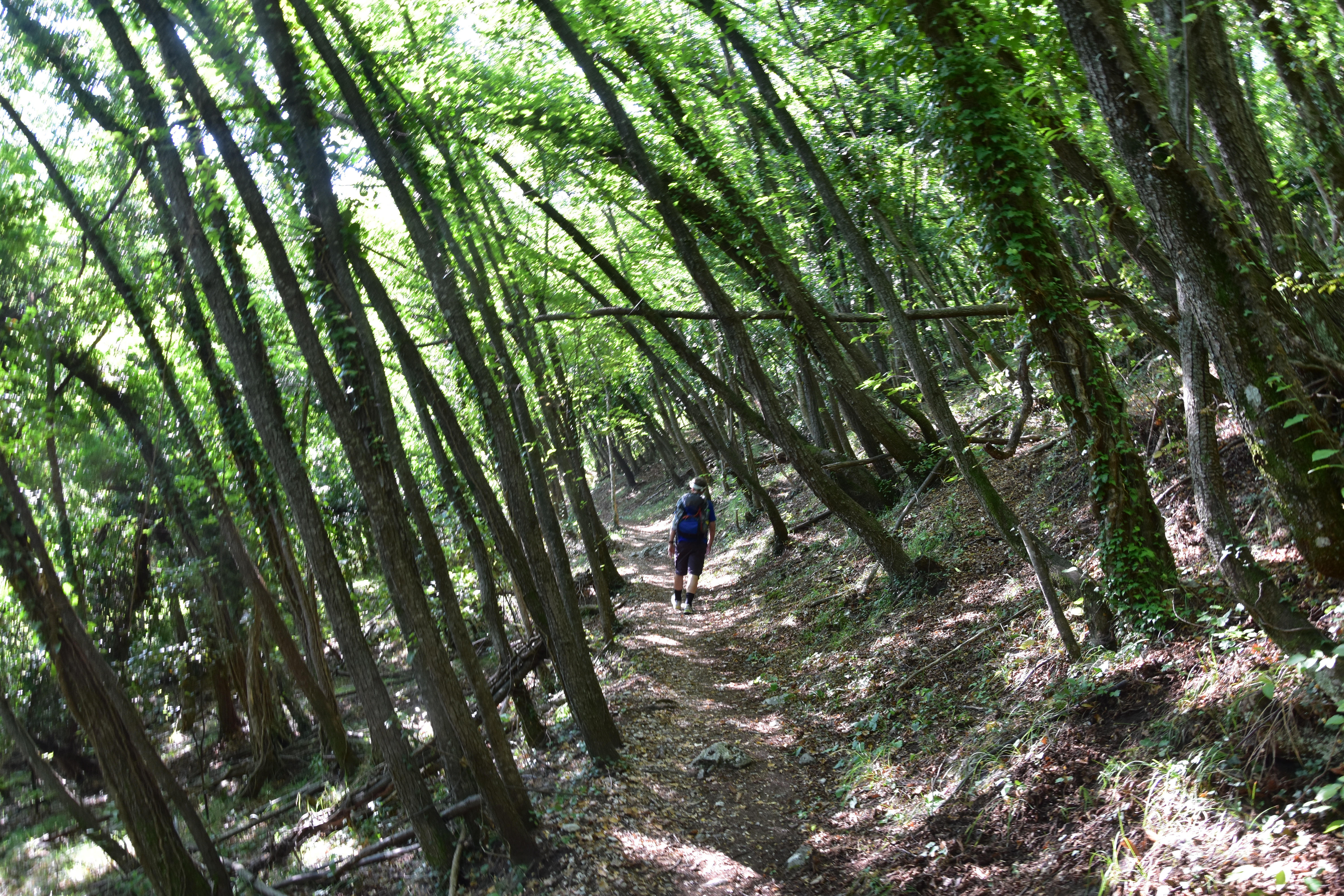 Zum Gl&uuml;ck noch viel Schatten